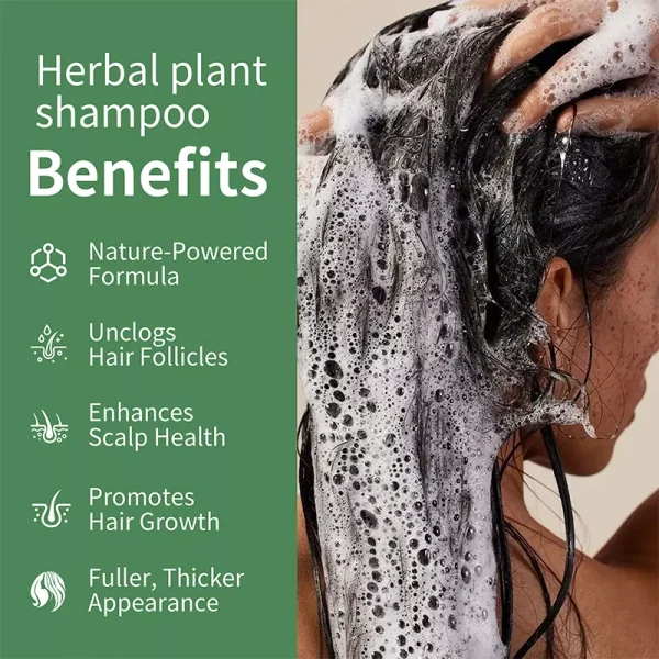 7 Herbs Anti Hair Loss Shampoo