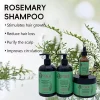 Rosemary Mint Shampoo Set