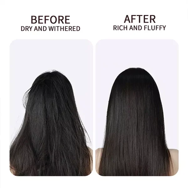 Rosemary Mint Shampoo Set